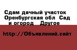 Сдам дачный участок - Оренбургская обл. Сад и огород » Другое   